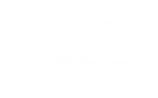 X-Golf Logo